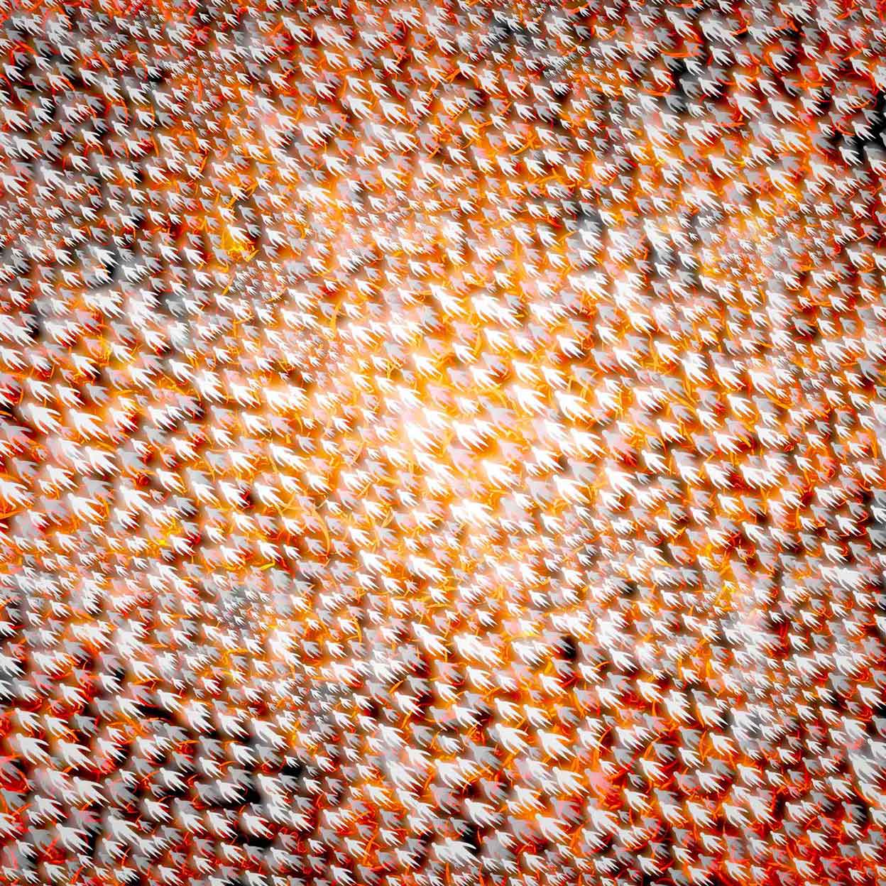 Birthday Atsushigraph