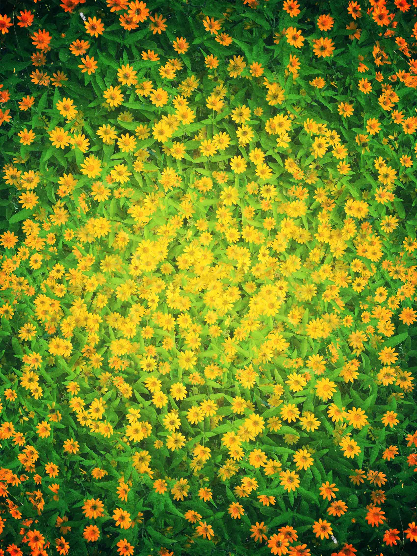 Atsushigraphのアートワーク Communeの画像です。