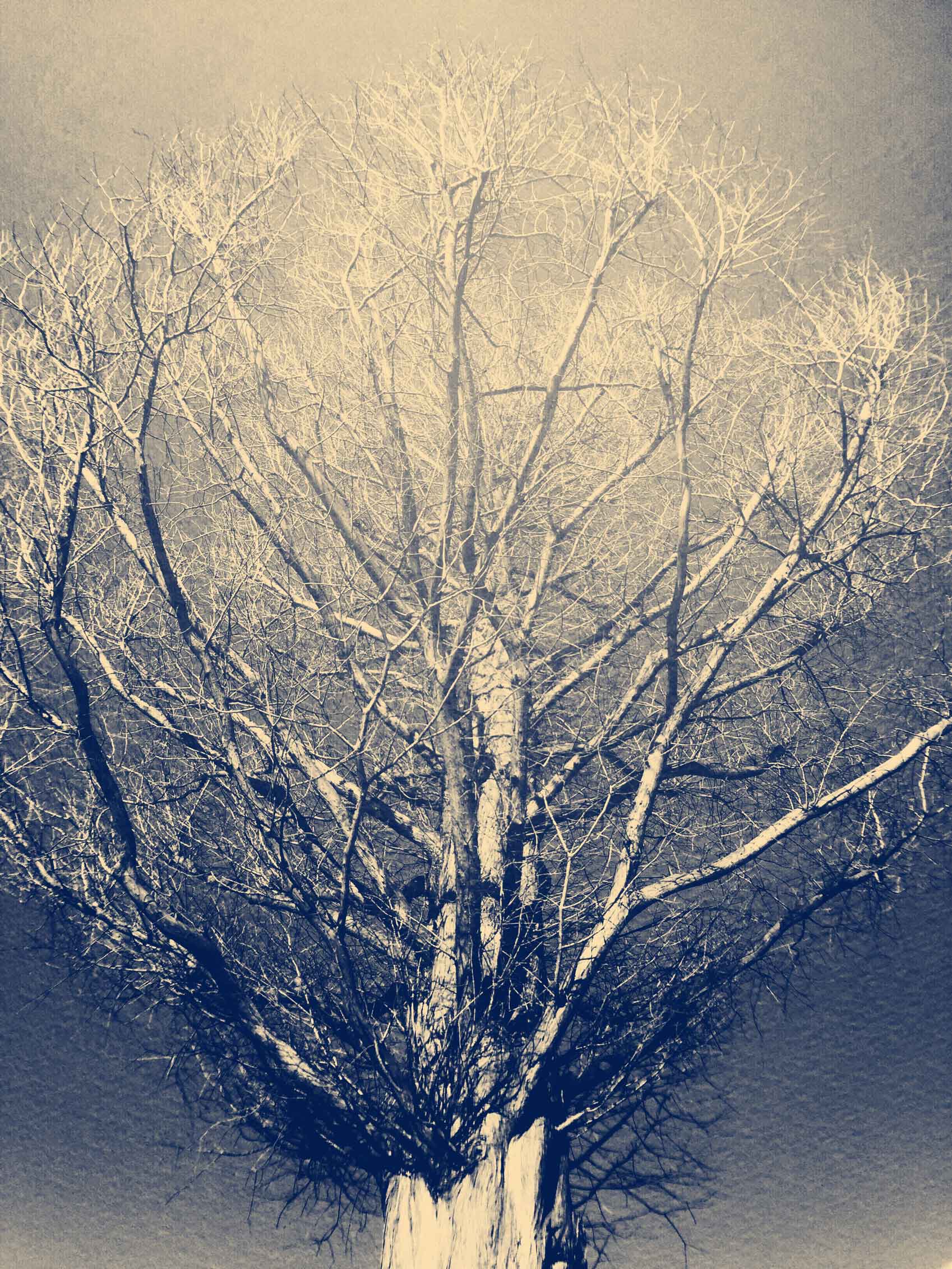 Atsushigraphのアートワーク embraceの画像です。