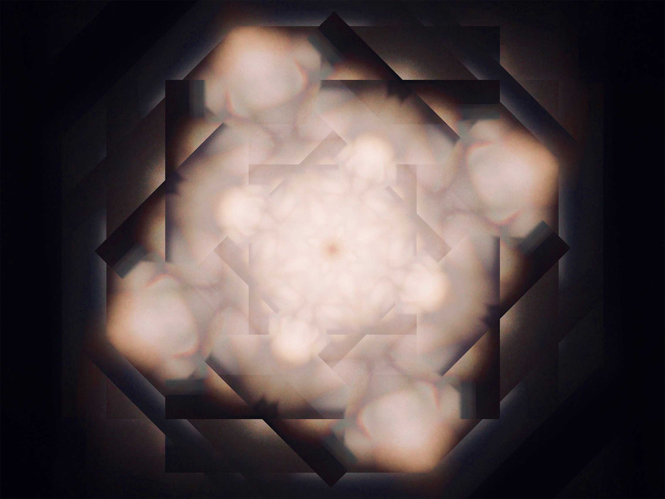 Atsushigraphのアートワーク embryoの画像です。