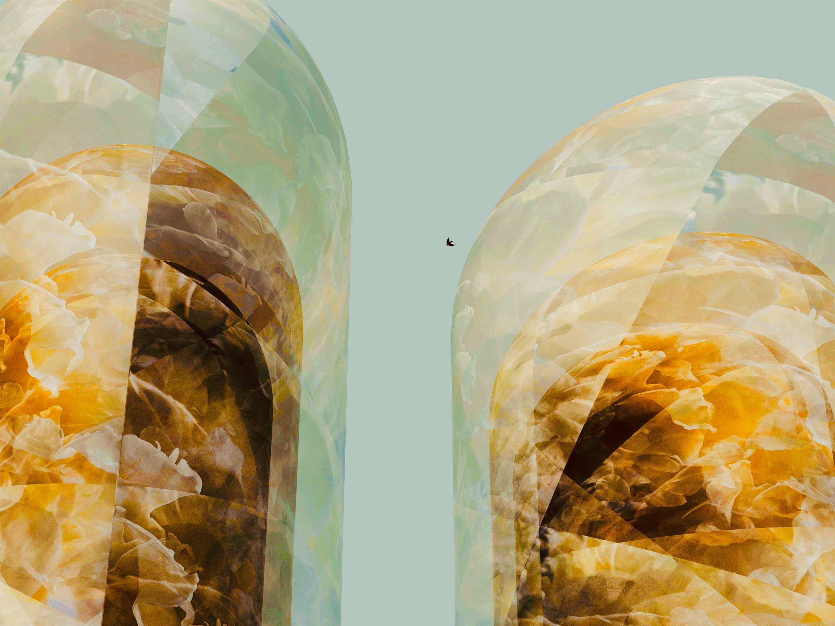 Atsushigraph Graphic Arts grace