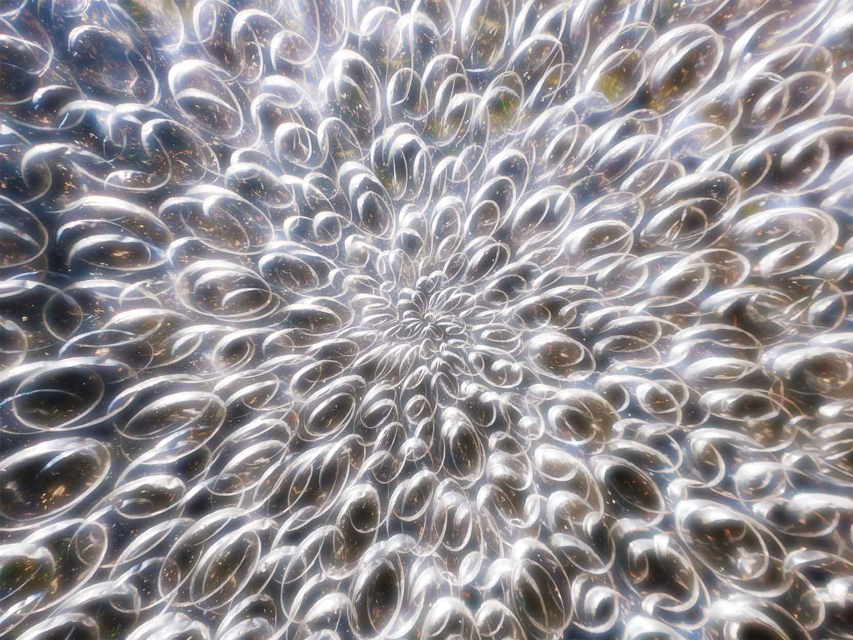 Atsushigraph Graphic Arts いき