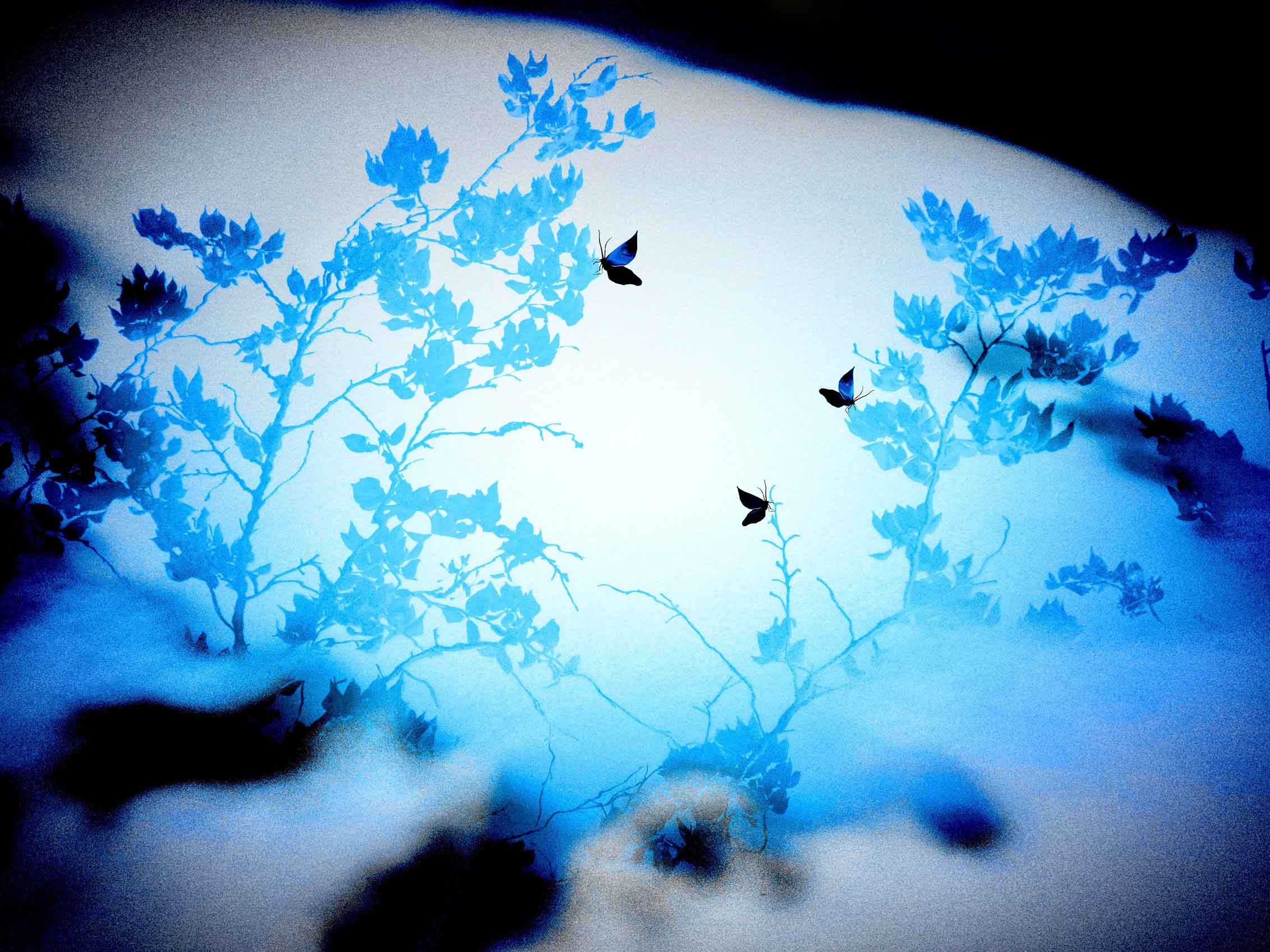 Atsushigraph Graphic Arts 岸