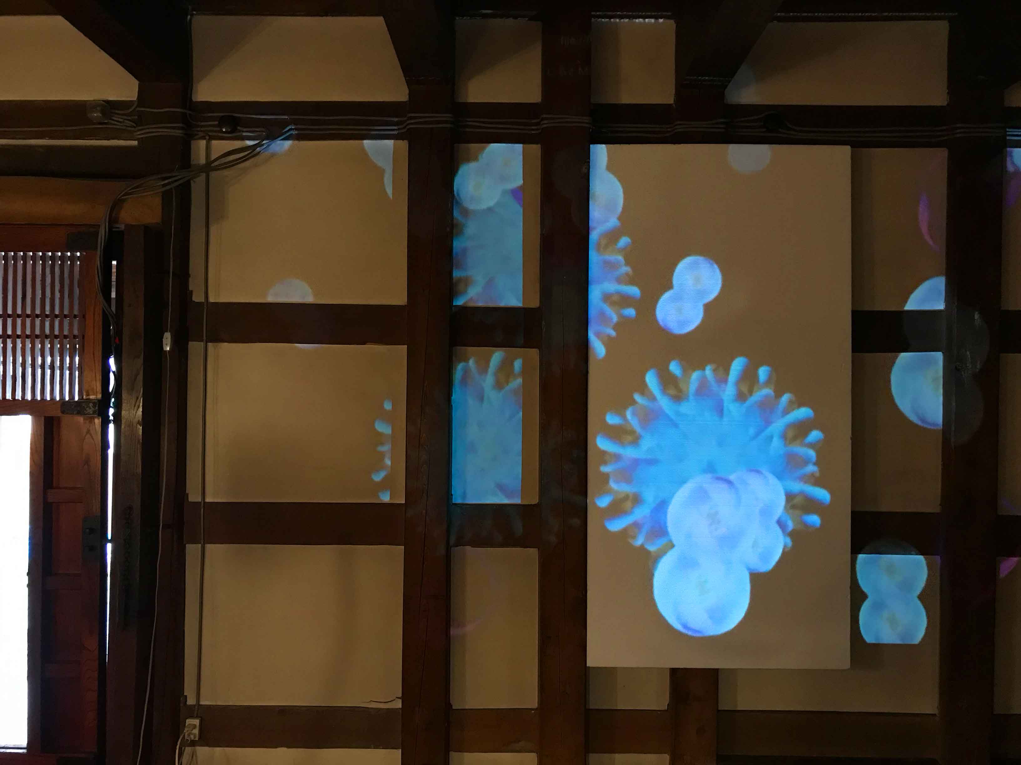 Atsushigraphの個展 リンネ の展覧会風景画像4枚目です。