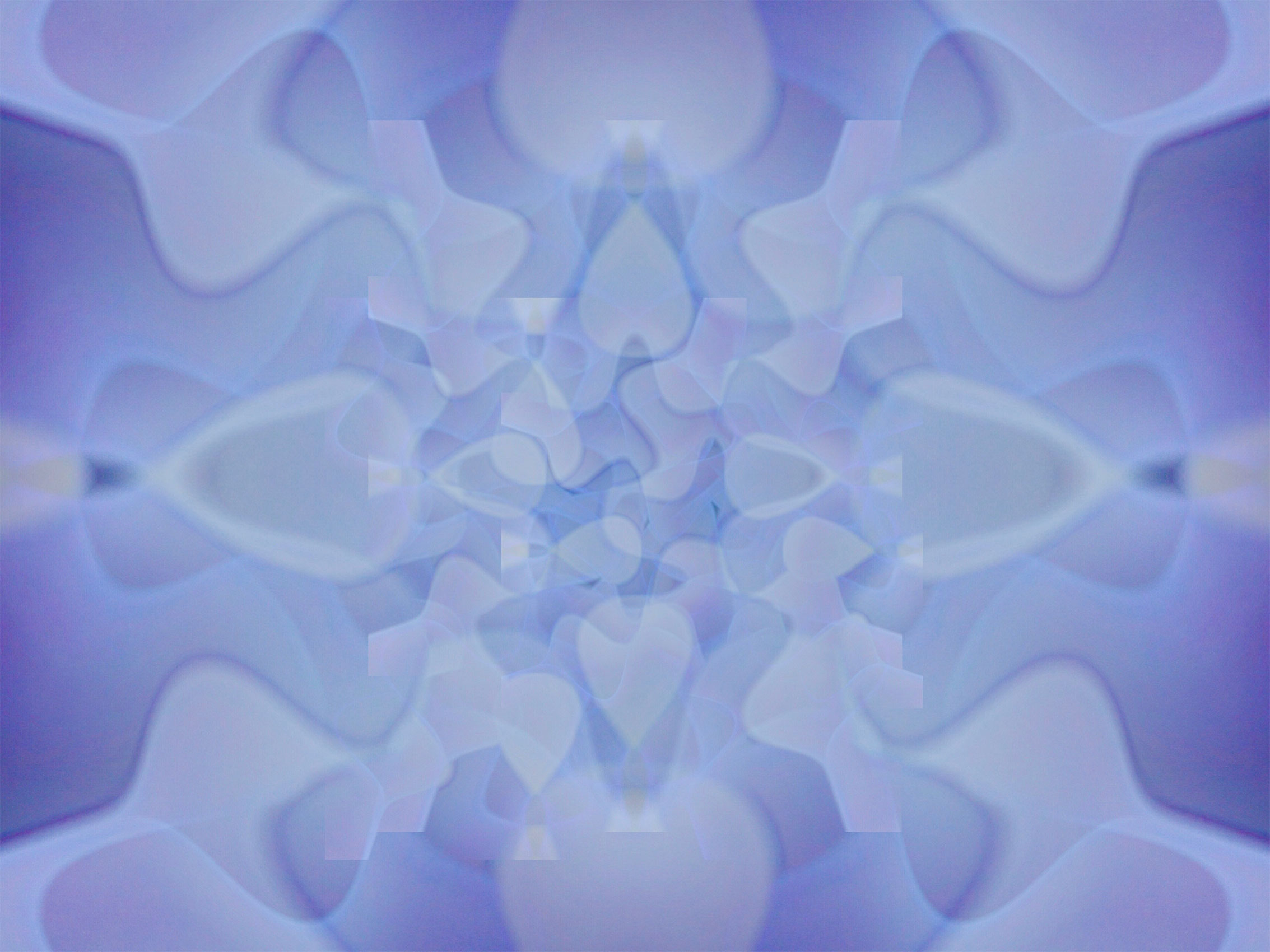 Atsushigraphのアートワーク 迷子の画像です。