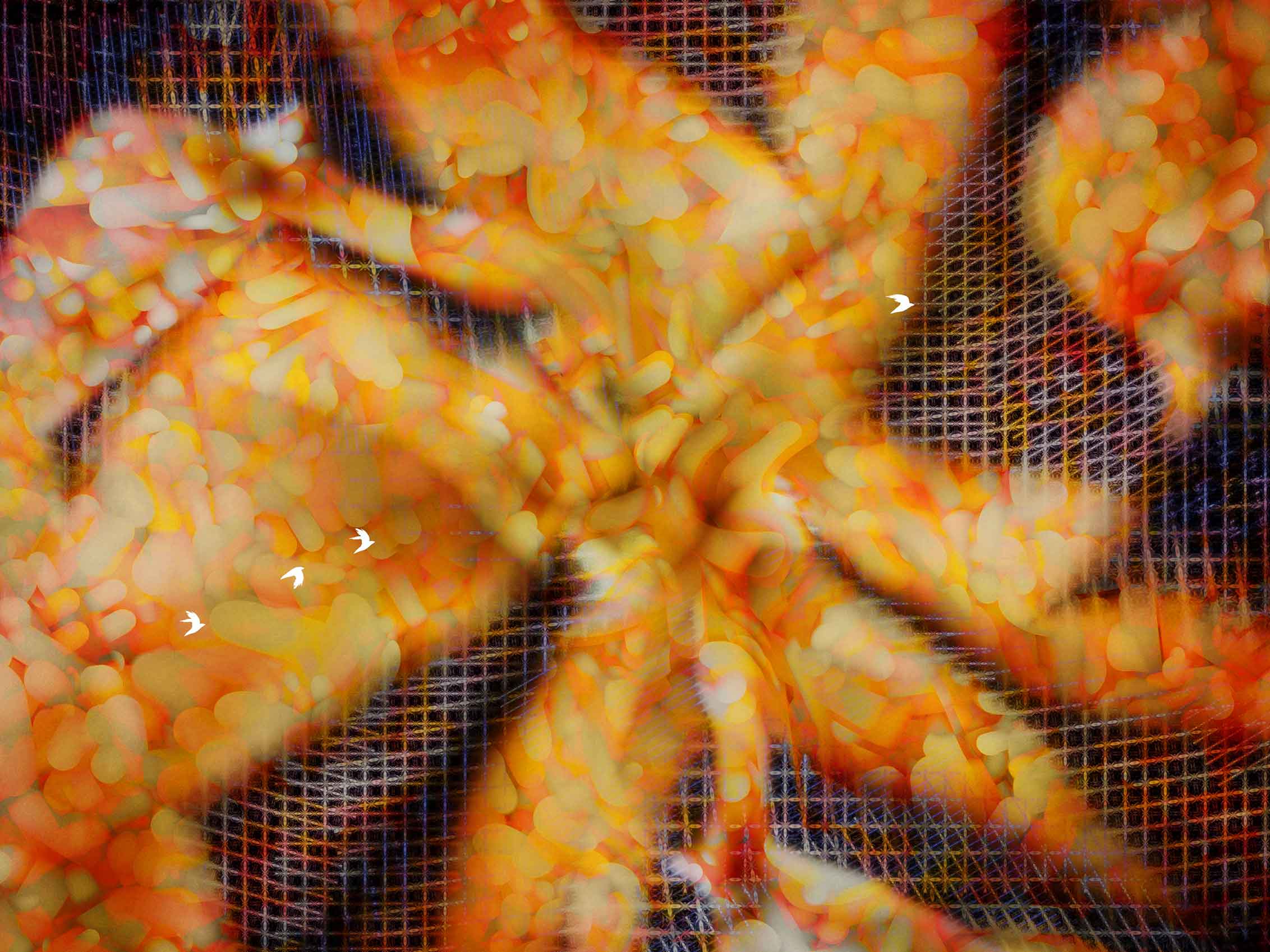 Atsushigraph Graphic Arts nigatsu no senaka