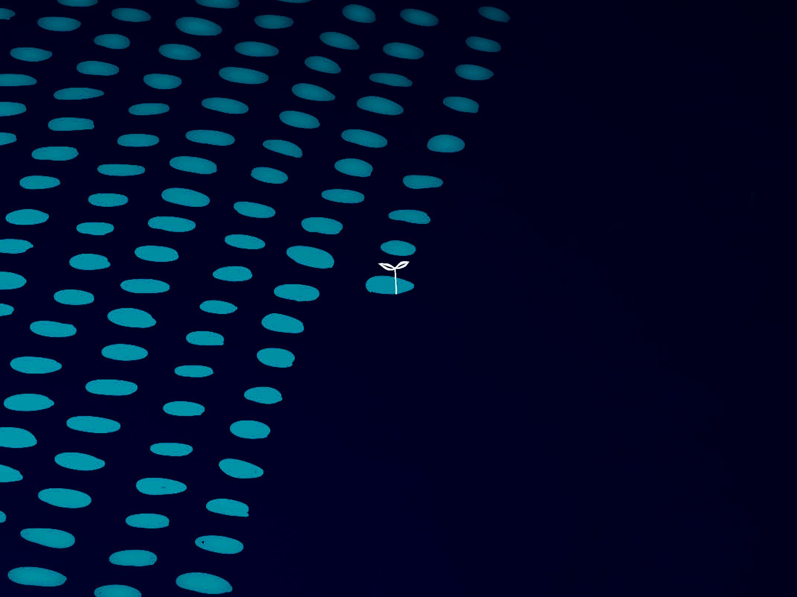 Atsushigraph Graphic Arts Polka Dots