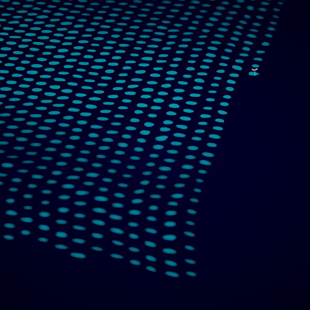 Graphic Arts Polka Dots Atsushigraph