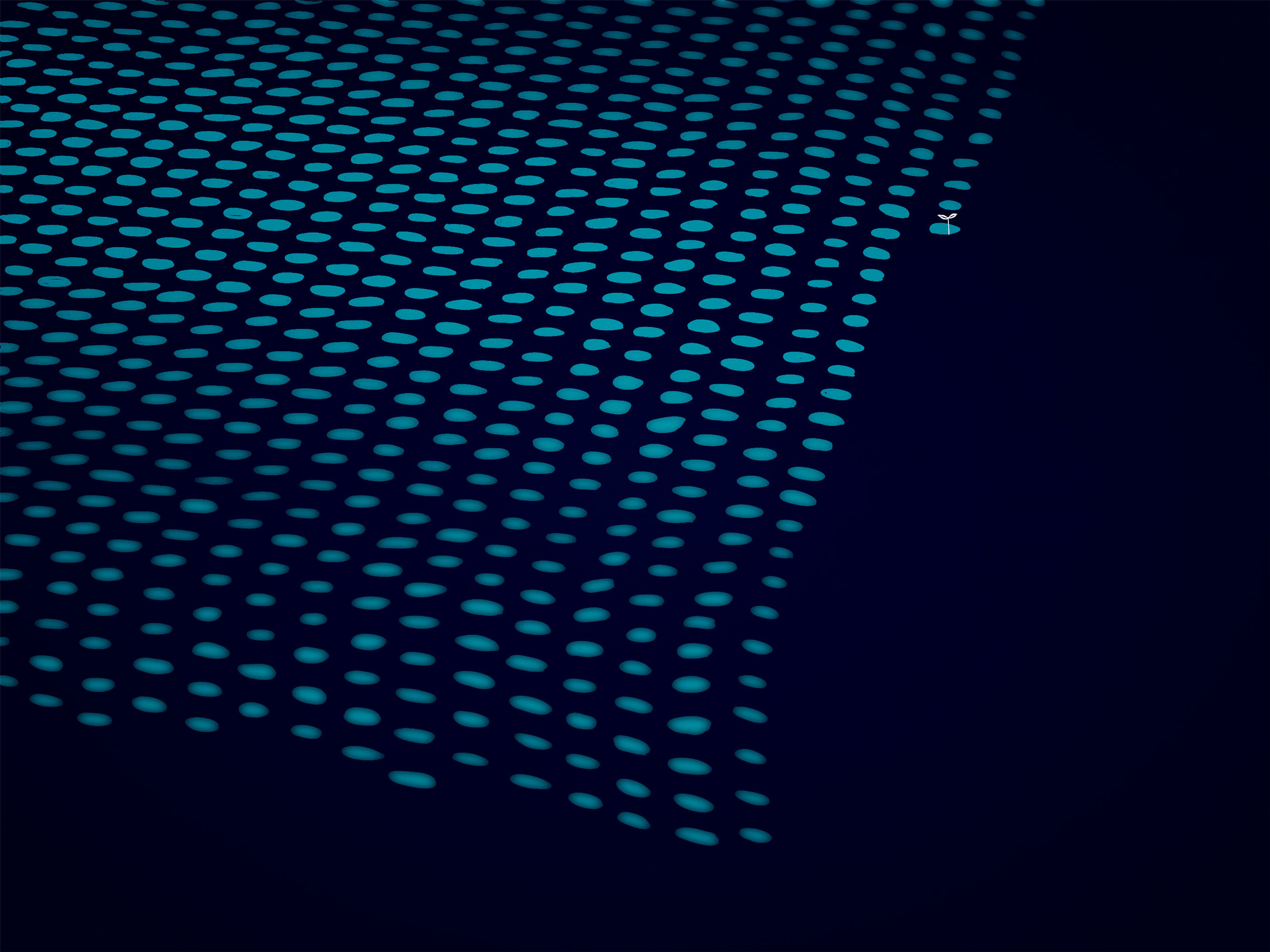 Atsushigraph Graphic Arts Polka Dots