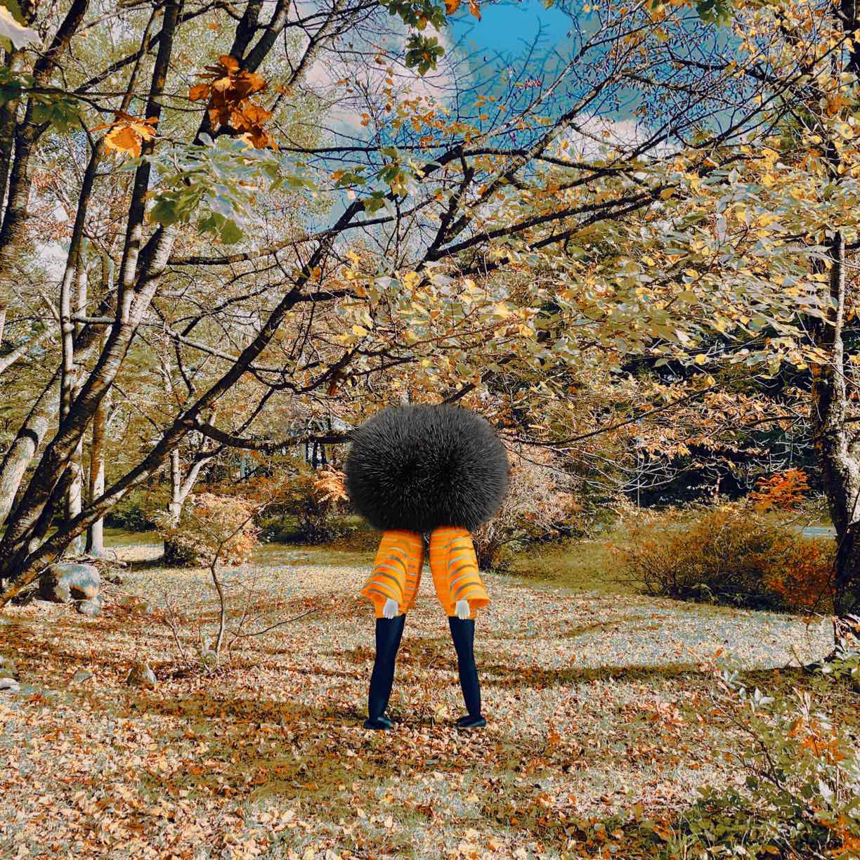 Shy love Atsushigraph