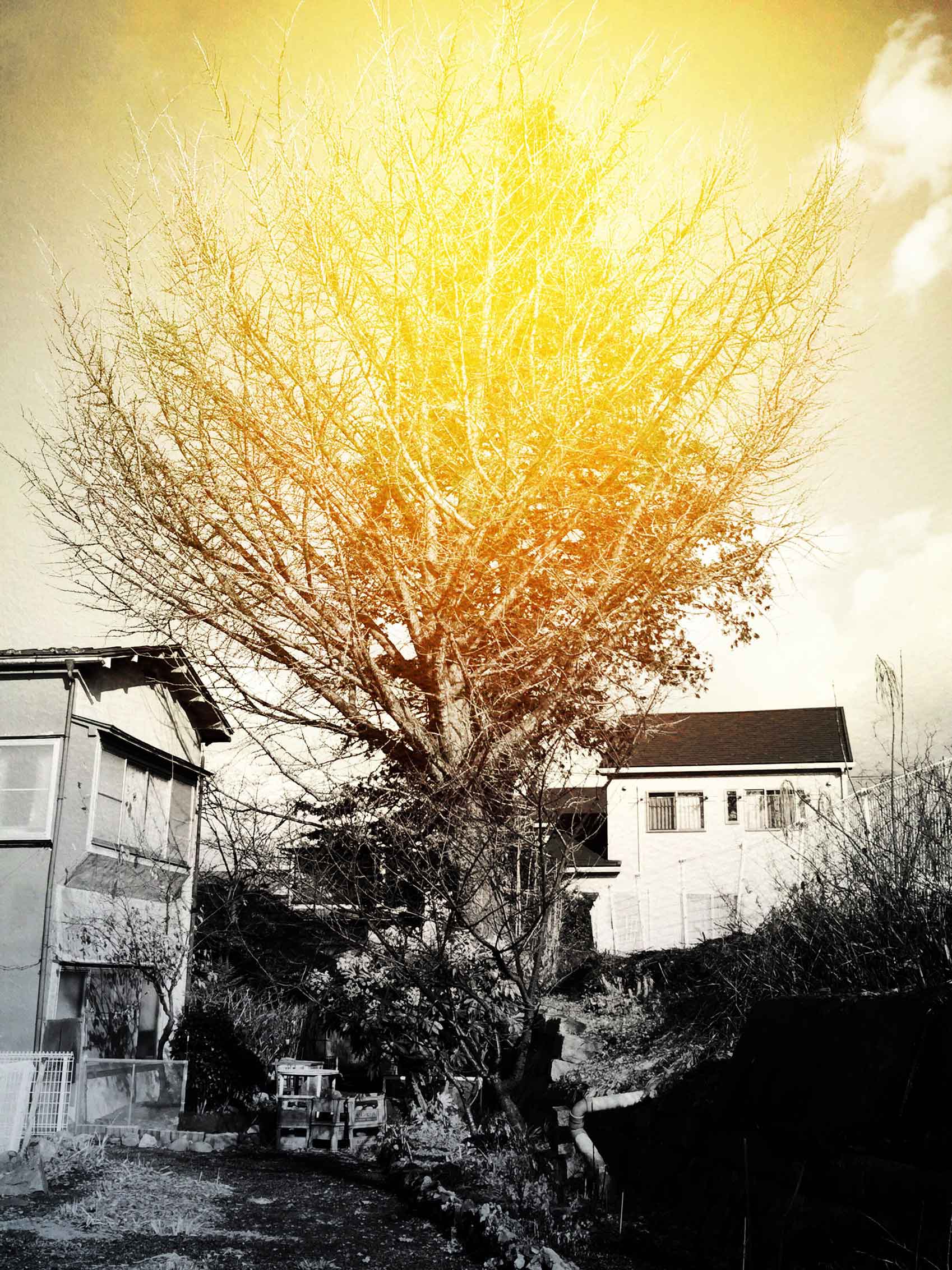 Atsushigraphのアートワーク Spiritの画像です。