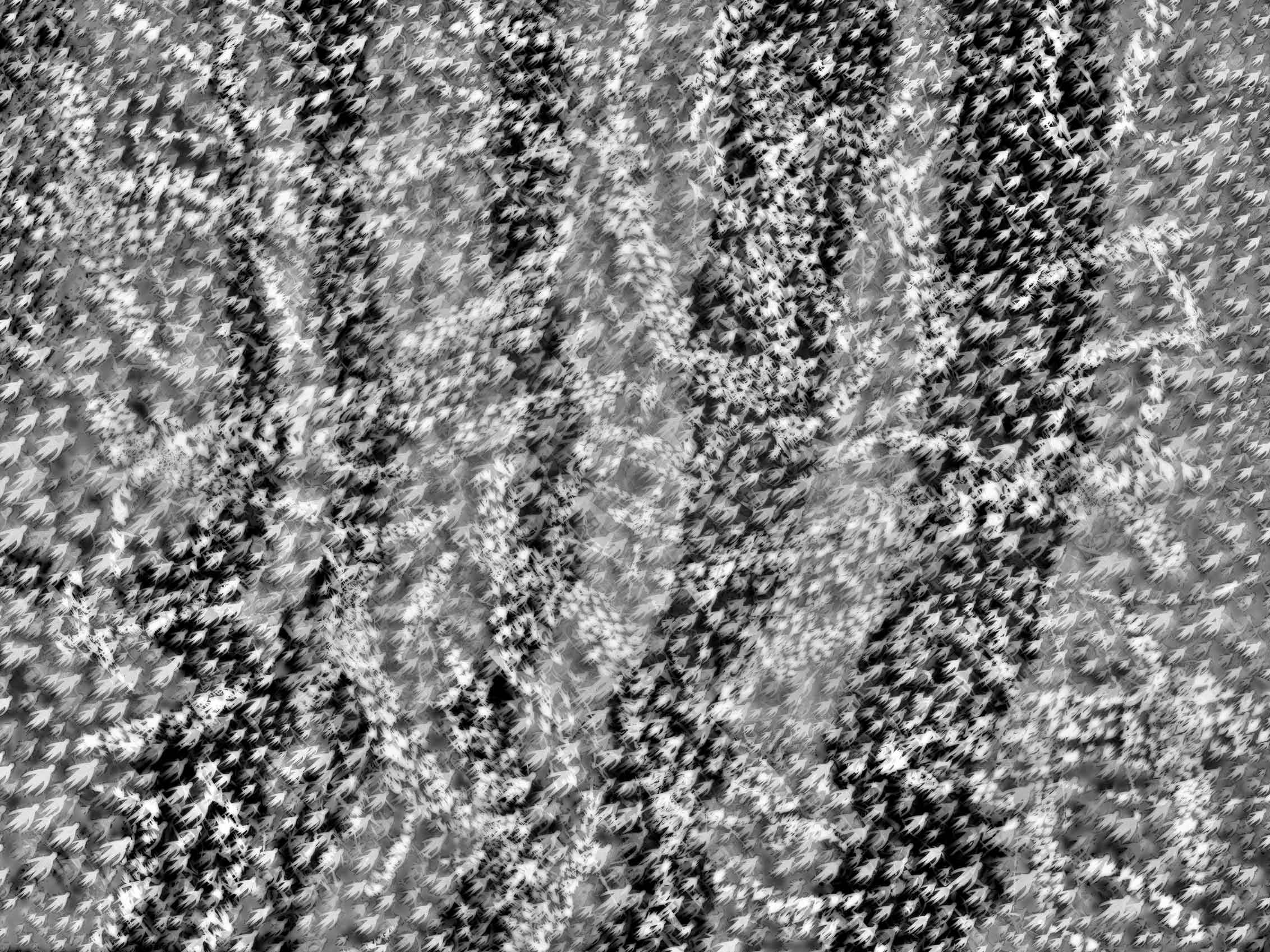 Atsushigraph Graphic Arts Tempest