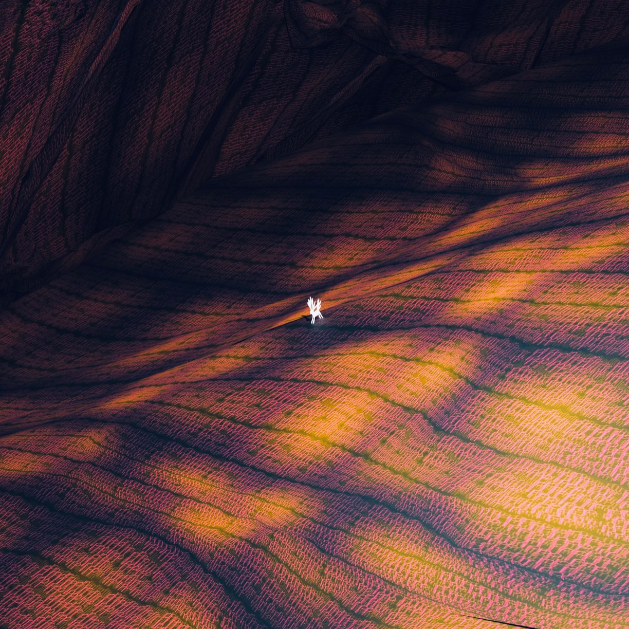 Atsushigraphのアートワーク The Wilds のサムネイル画像です。