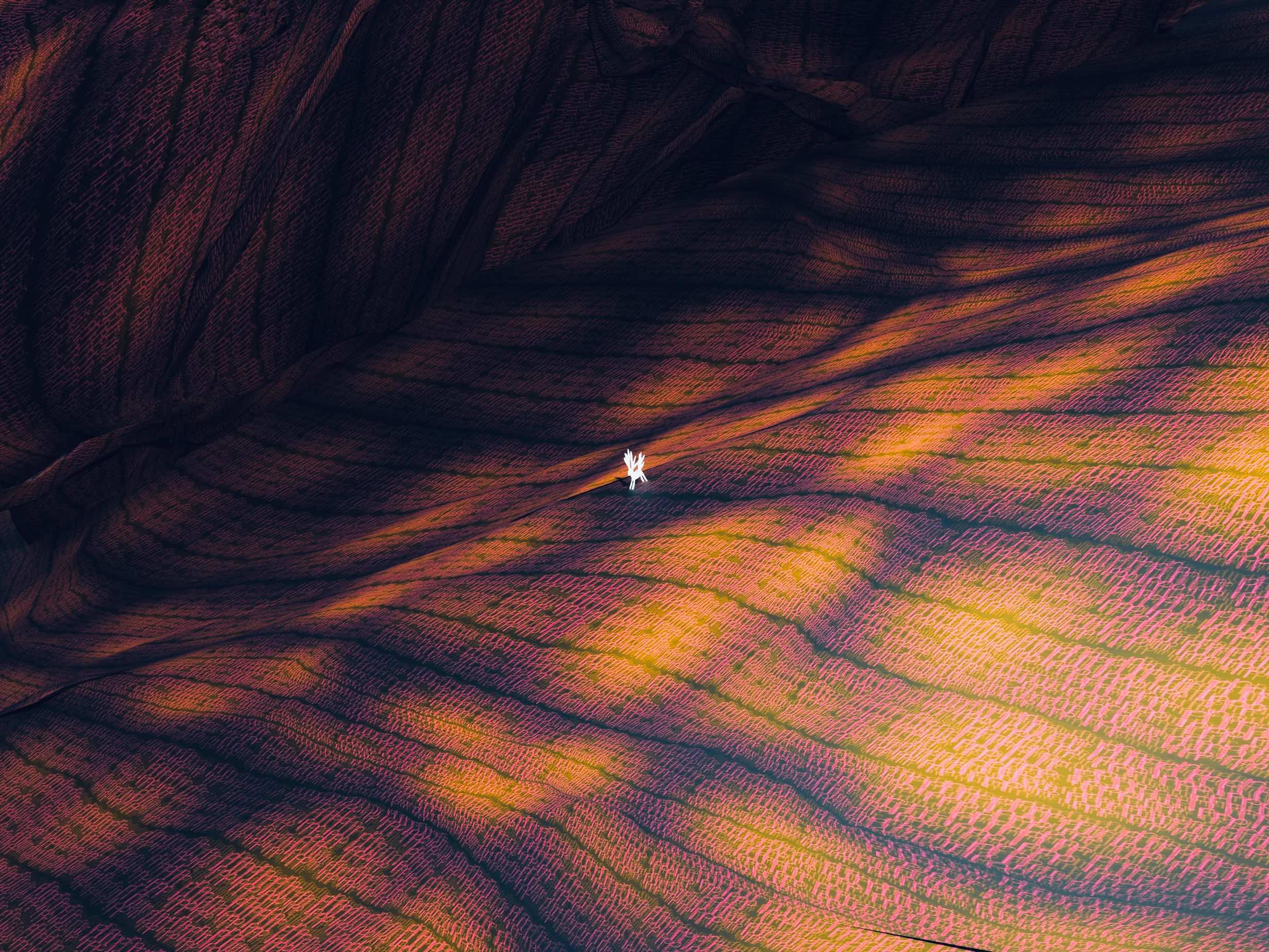 Atsushigraphのグラフィックアート「The Wilds」。広大な大地にぽつりと佇む鹿のような生命が描かれています。大地には微かな陽射しが射していて、明るい所と暗い所のコントラストを生む風景が描かれました。