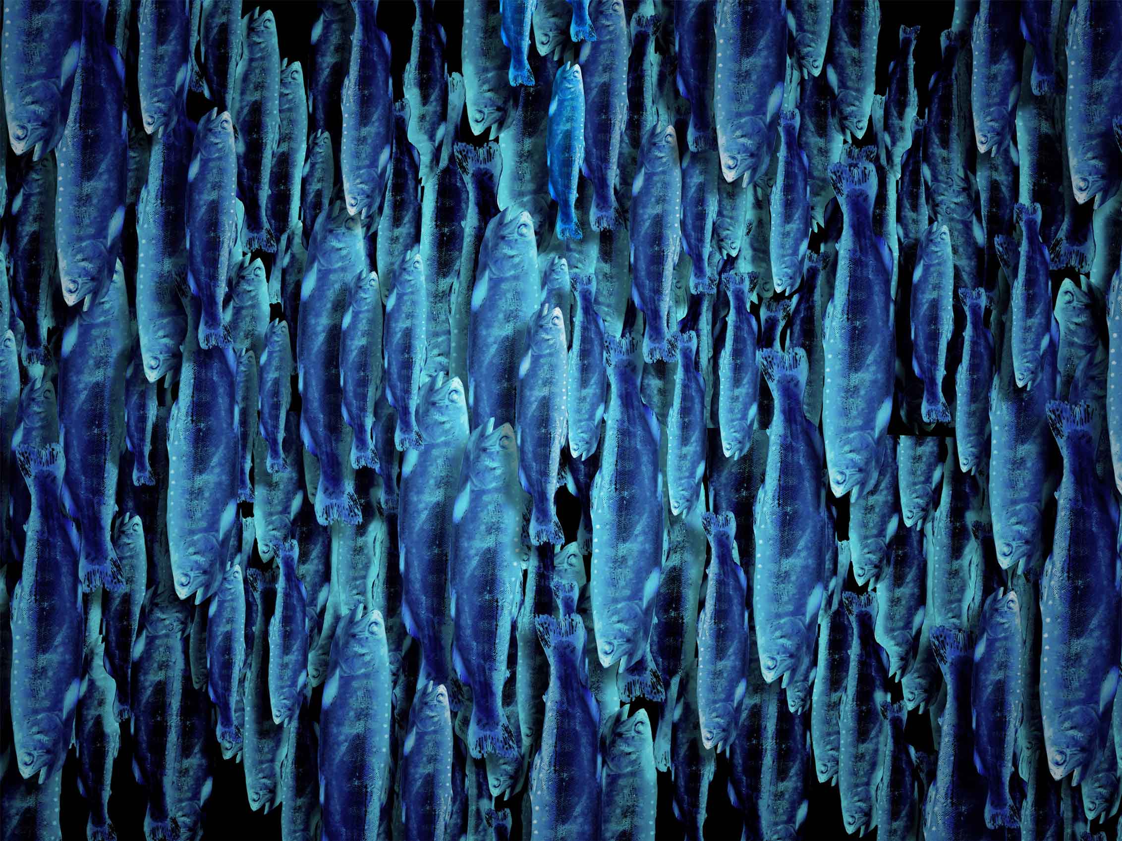 Atsushigraphのアートワーク Untitledの画像です。